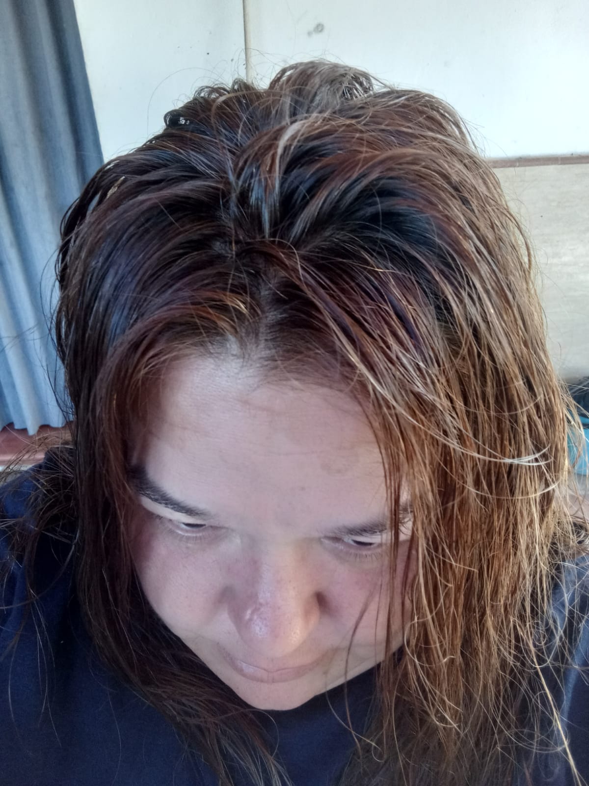 Shampoo tinte , natural